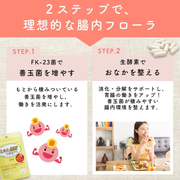 ラクトプライム　FK23  1兆個とLFK 3000億個 ラクトプライム FK23 1兆個とLFK 3000億個