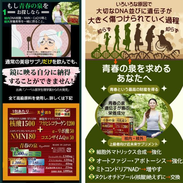 見た目年齢の差卸価格青春の泉【核酸サプリ】【NMN】【NMN