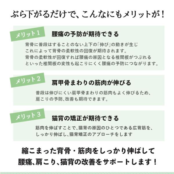 ぶら下がり健康器 コンパクト 懸垂マシン 筋トレ 7段階 高さ調節 1303