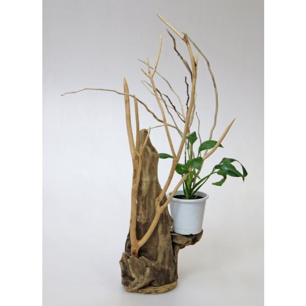 流木アート 花台 【公式通販】