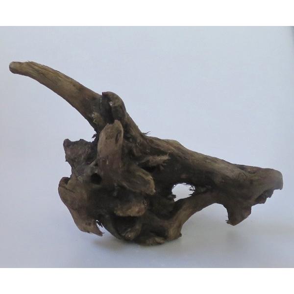 水槽レイアウト用流木 アクアリウム 木の芯部 天然流木 魚の隠れ家  