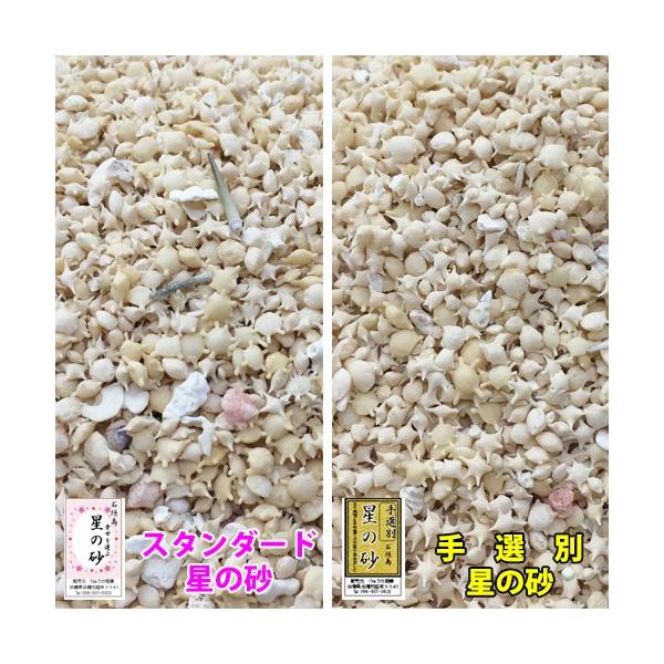 南鳥島の砂 1kg単位の販売