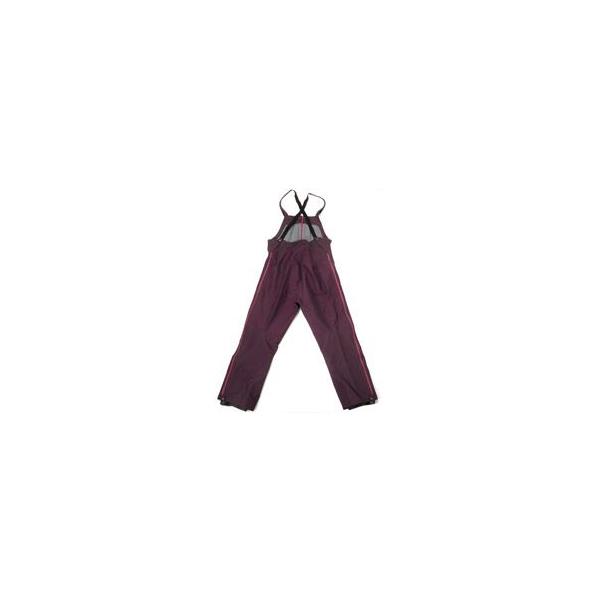 patagonia alpine bibpants アルパインビブパンツ 98年 迷わす