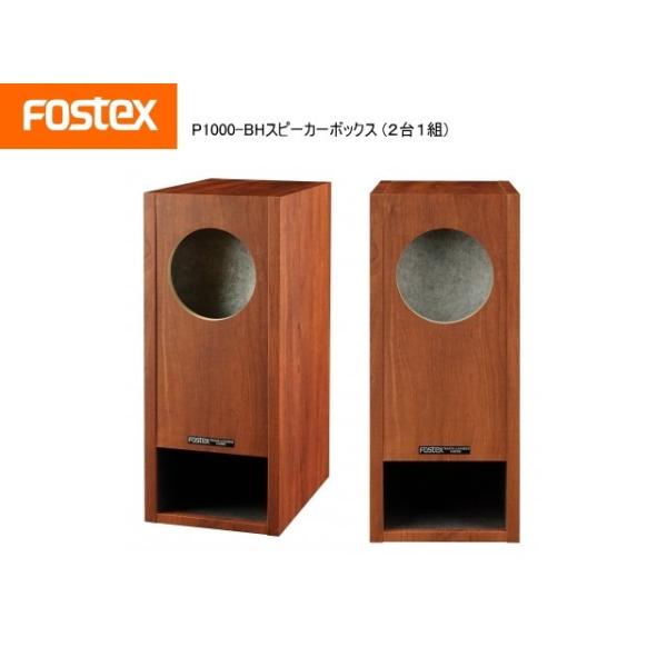 FOSTEX P1000-BH [2台1組販売] (フォステクス 10cm口径用 バックロード