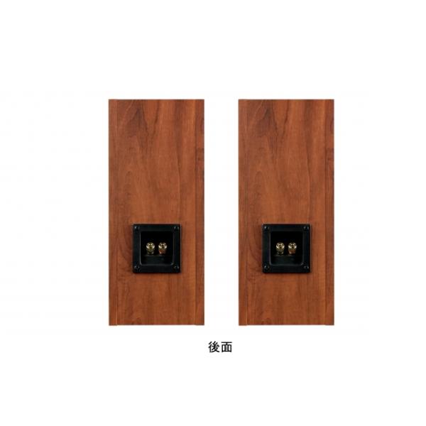 FOSTEX P1000-BH [2台1組] (フォステクス 10cm口径用 バック