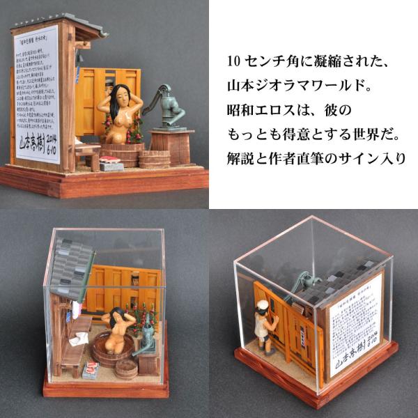 昭和色模様 行水の女 ：山本高樹 塗装済完成品 1/25 /【Buyee】 Buyee