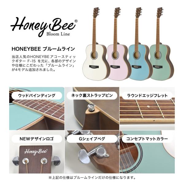 アコースティックギターハニービーw-15/TS　初心者セット アコースティックギター 初心者セット 16点 W-15/F-15 アコギ 入門