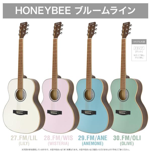 Acoustic guitar honey bee アコギ HONEY BEE F-15 BLS