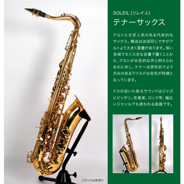 アルトサックス 初心者セット 入門用 E Saxophone 吹奏楽 668