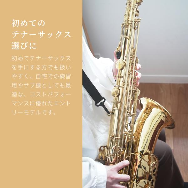 Soleil テナーサックスSTN-1 初心者入門セット〔ソレイユSTN1 管楽器