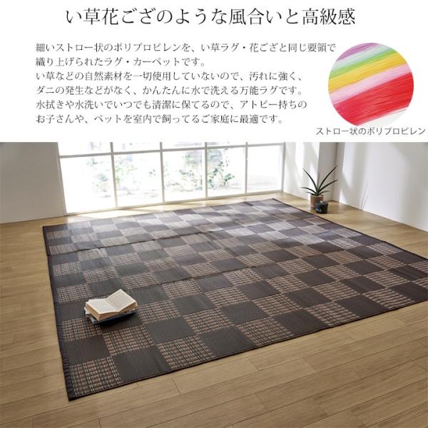 国産 洗える い草 風 ラグ カーペット 江戸間4.5畳 261×261cm ペット