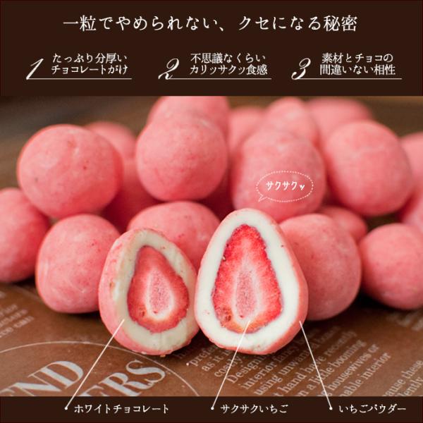 チギフト チョコ 2025 いちごチョコレート プチギフト いちご