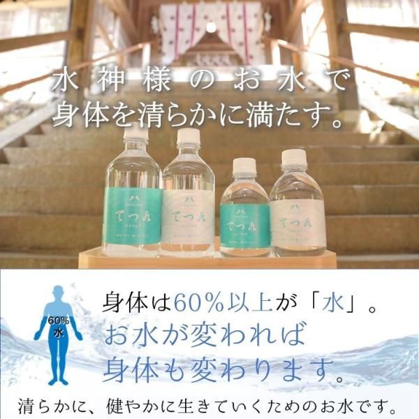 天然水　天月ノ水 ハルナプロデュース オモテナシ 天然水 300ml ペットボトル 24本