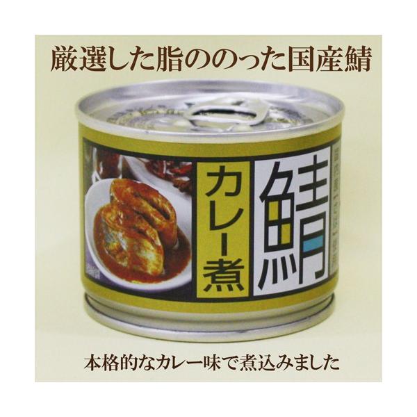 10缶セット鯖カレー煮190ｇ（固形量140ｇ）×10 缶詰高木商店サバカレー