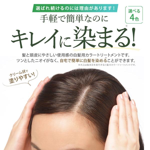 無添加 白髪用 利尻ヘアカラートリートメント 3本セット 毛染めブラシ