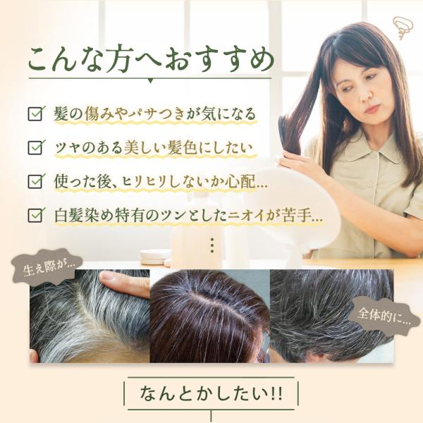 無添加 白髪用 利尻ヘアカラートリートメント 4本セット 毛染めブラシ(馬毛緑)1本付き 男女兼用 白髪染め ヘアケア 全体染め 部分染め サスティ  送料無料 /【Buyee】 Buyee - Japanese Proxy Service | Buy from Japan!