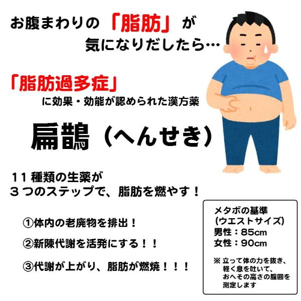 痩せる薬 ダイエット やせる 漢方 肥満 脂肪過多症 扁鵲（へんせき