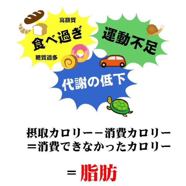 痩せる薬 ダイエット やせる 漢方 肥満 脂肪過多症 扁鵲（へんせき