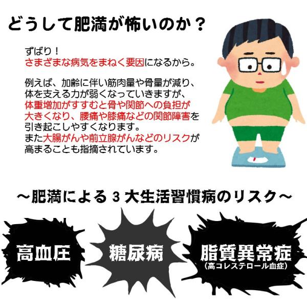肥満症　ダイエット ホノミ漢方 痩せる薬 ダイエット やせる 漢方 肥満 脂肪過多症