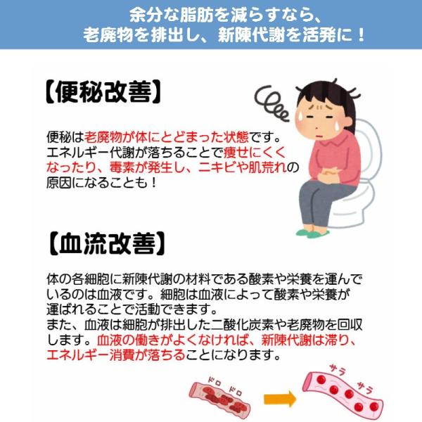 痩せる薬 ダイエット やせる 漢方 肥満 脂肪過多症 扁鵲（へんせき