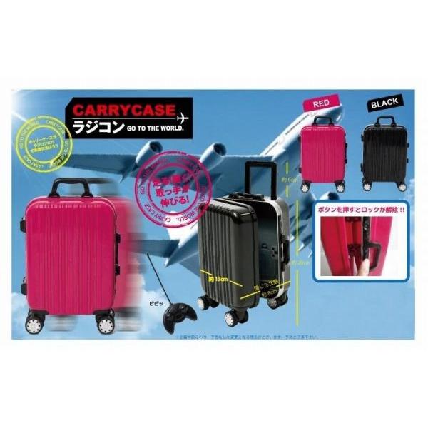 ラジコンカー(クリアーケース付き) Omi さま専用です。 ラジコンカー(クリアーケース付き) Omi さま専用です。