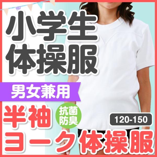 ☆売り尽くしセール☆体操着体育着体操服抗菌防臭半袖ヨーク丸首男女