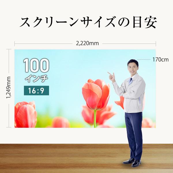 シアターハウス プロジェクタースクリーン 吊り下げ式 壁掛け