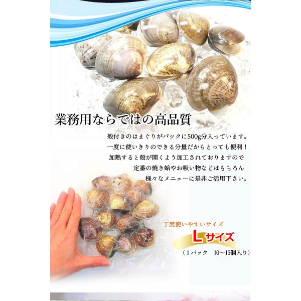 はまぐり ハマグリ 蛤 Lサイズ 500g（約10〜15個入り） 殻付