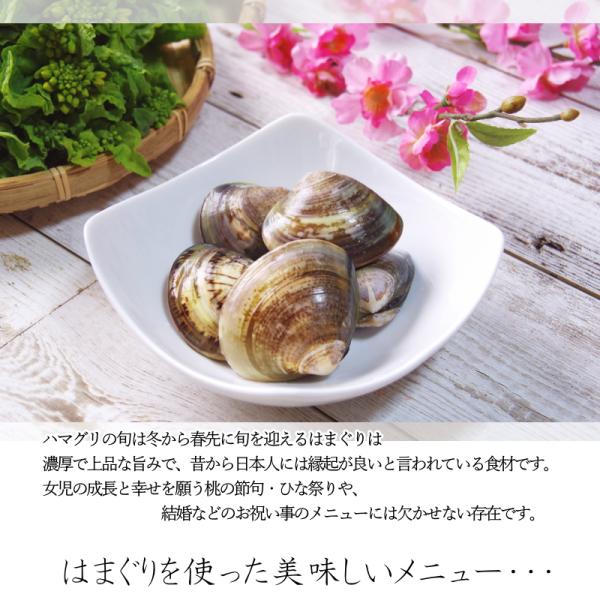 ハマグリ購入ページ はまぐり ハマグリ 蛤 Lサイズ 500g（約10〜15個入り） 殻付
