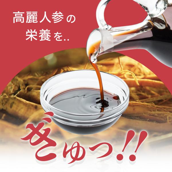 正官庄 日本公式】紅参精エブリタイム(10ml×10包)│正官庄(ジョンガン ...