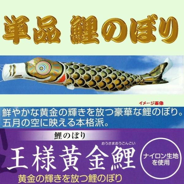 王様黄金鯉鯉のぼり