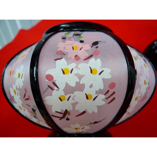 雛人形　桃の節句　雪洞　菊燈白ピンク桜 雛人形 桃の節句 雪洞 菊燈白ピンク桜 2025 菊雛人形 桃の節句