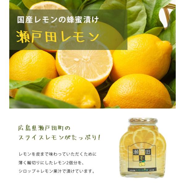 大規模セール 国産 瀬戸田レモン