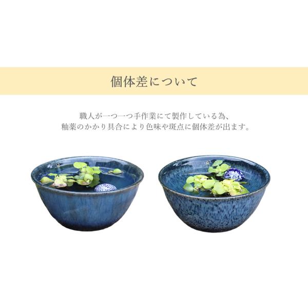 信楽焼 睡蓮鉢 メダカ鉢 金魚鉢 スイレン メダカ 鉢 大型