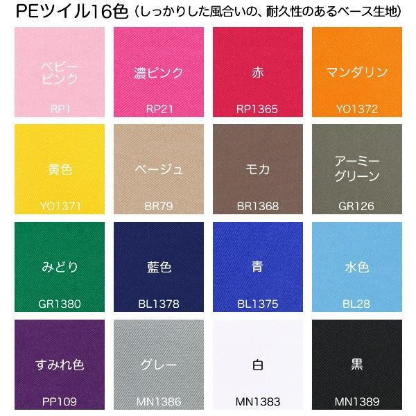 カラー！名札ワッペン 刺繍（刺しゅう）アイロン接着ゼッケン（1行