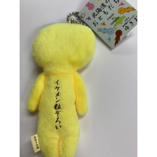 ゆきおご当地 北海道‼️とうや湖 花火マスコットチェーン10個