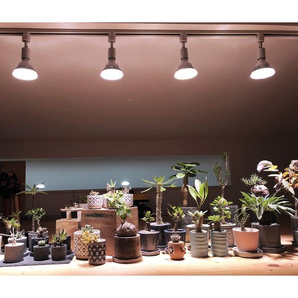 問屋 植物育成LED SUN-20W-W | www.butiuae.com