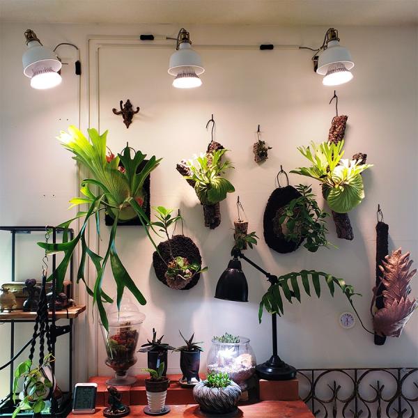 BARREL植物LEDライトクリップSUN-18W×E26 PLANT×4セット BARREL植物LEDライトクリップSUN-18W×E26 PLANT×4セット