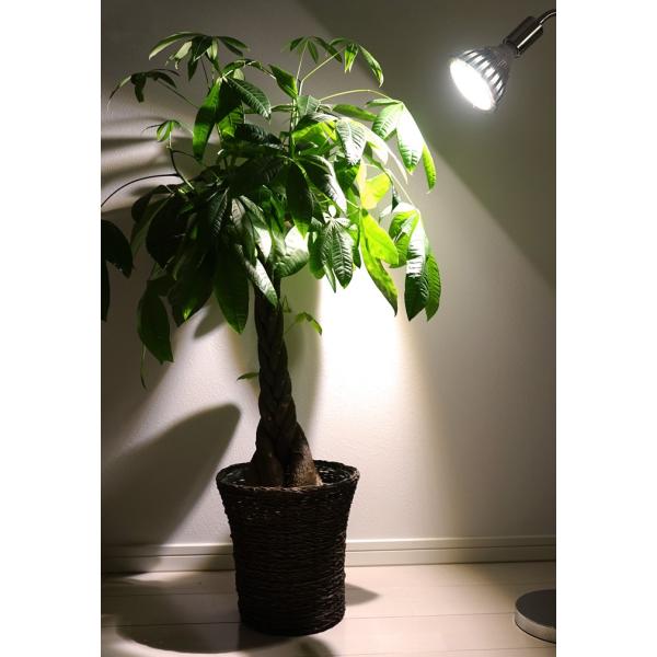 植物育成LED SUN-20W-W】白色電球口径E26 /【Buyee】 bot-online