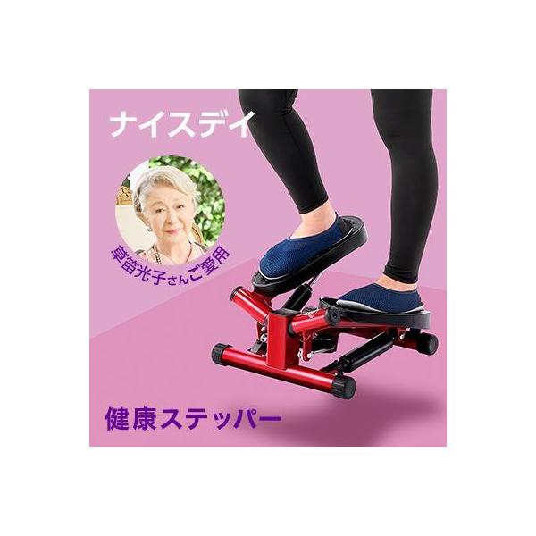 SHOP JAPAN ショップジャパン 健康ステッパー ナイスデイ NICEDAY トレーニング エクササイズ 筋トレ草笛光子 - ダイエット