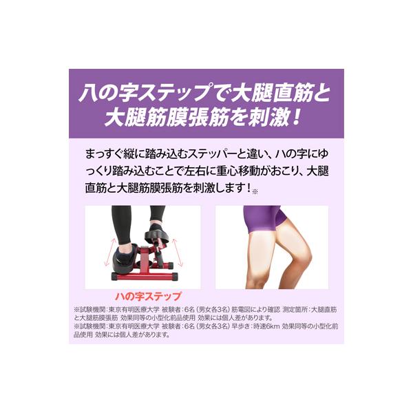 健康ステッパー ナイスデイ 正規品 ナイスデー ナイスディ ショップ