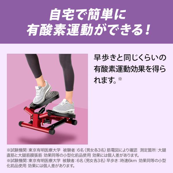 健康ステッパー ナイスデイ 正規品 ナイスデー ナイスディ ショップ