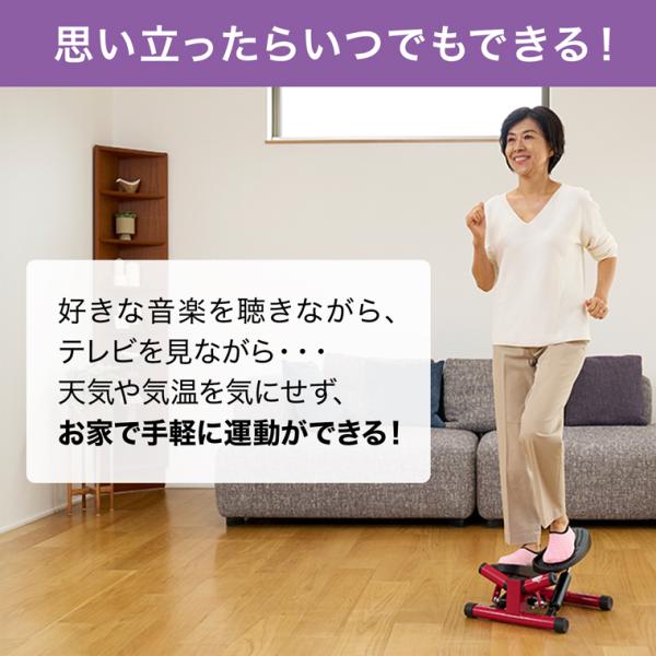 健康ステッパー ナイスデイ 正規品 ナイスデー ナイスディ ショップ