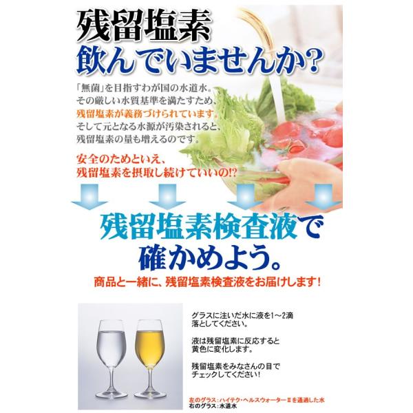 ハイテクヘルスウォーター２ 酸化還元浄水器 / シルバー 浄水器 浄水機能 酸化還元作用 酸化還元水を作るヘルスウォーター キッチン 浄水器 酸化還元 浄水器 /【Buyee】