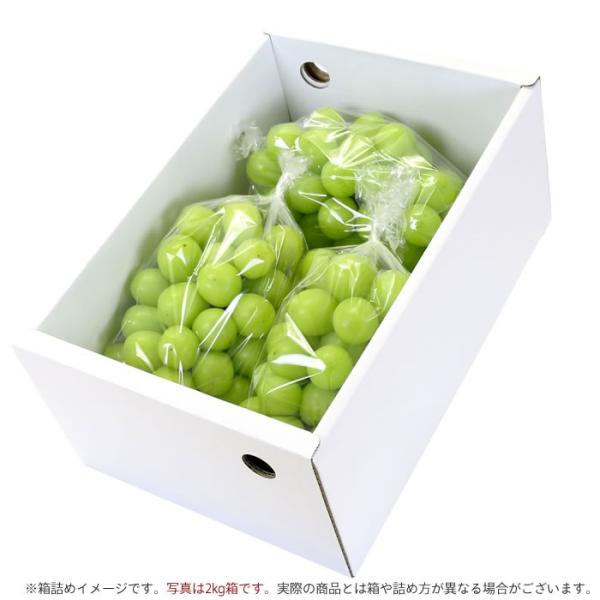 山梨県産  シャインマスカット1.9kg✖️2 シャインマスカット 山梨県産 2kg以上 3〜5房入 南アルプス市産