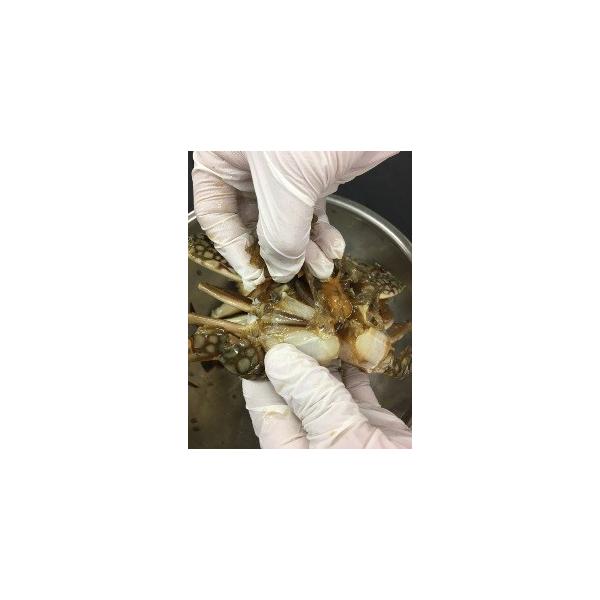 アイテム勢ぞろい ケジャン カニ 醤油ケジャン カンジャンケジャン 1kg 割引中 更に今ならおまけ付き 無添加商品 送料無料 信濃ケジャン 渡りカニ  雄カニ 蟹 生カニ