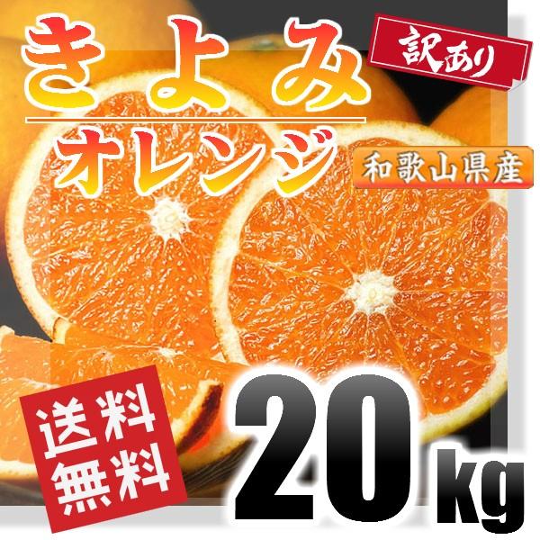 和歌山県産【清美オレンジ】訳アリ20Kg 送料込み