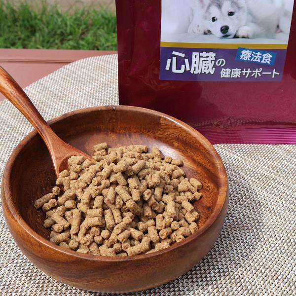 オファー Dr.宿南のキセキのごはん 犬用食事療法食 腎臓の健康サポート 1kg×3袋