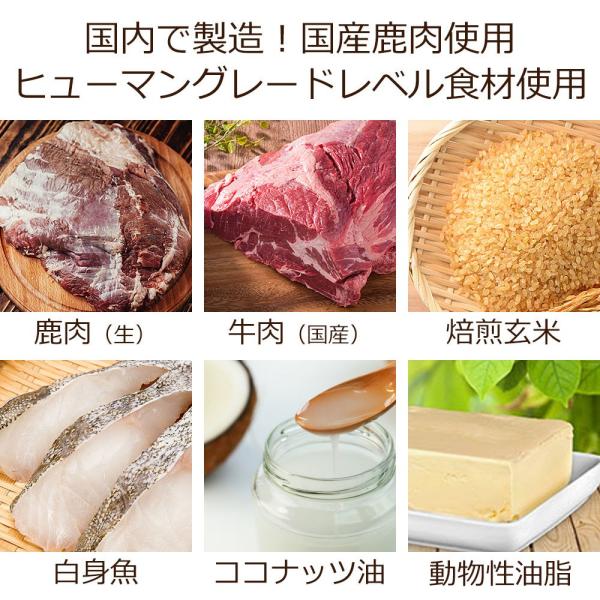 Dr.宿南のキセキのごはん 犬用食事療法食 腎臓の健康サポート 1kg×3袋