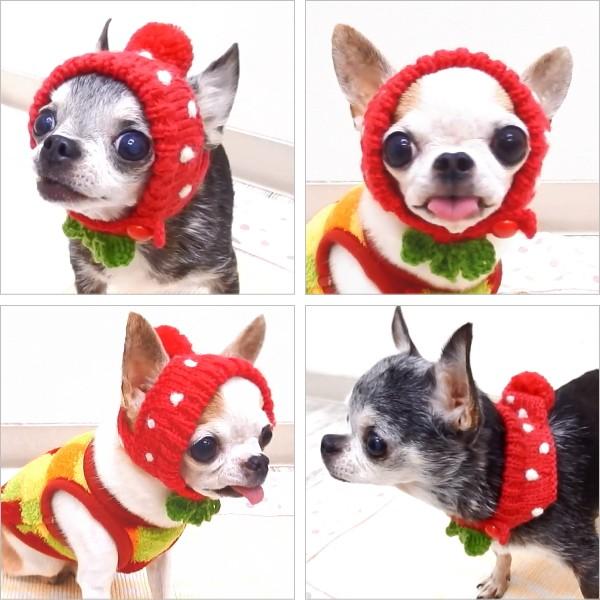 犬 帽子 SkipDog! イチゴチワワ の ニット帽 キャップ 被り物 コスプレ